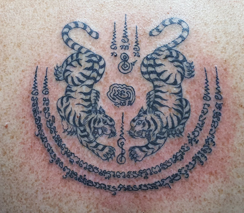 Thai tattoo sak Yant Twin Tigers